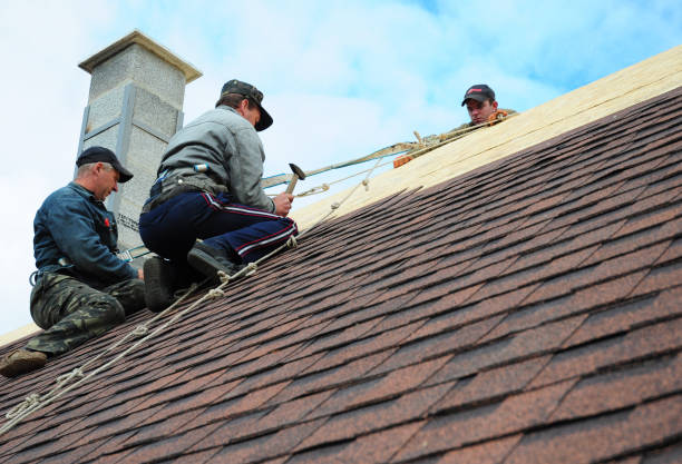 Best Roof Repair Services  in Ettrick, VA